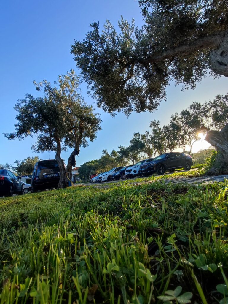 car valet